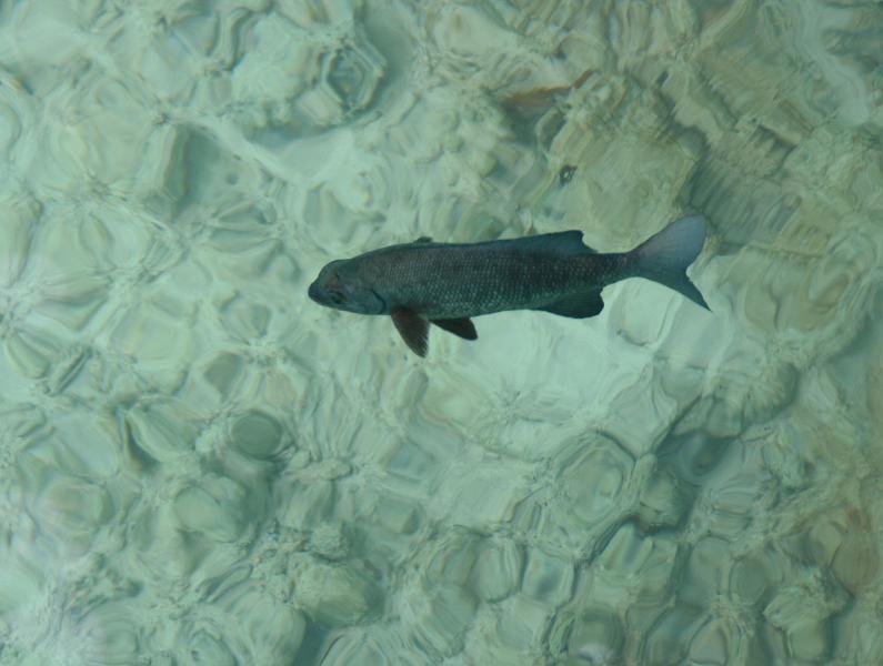 Kuramathi (257).jpg